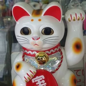 Meet your Posher, Elaine