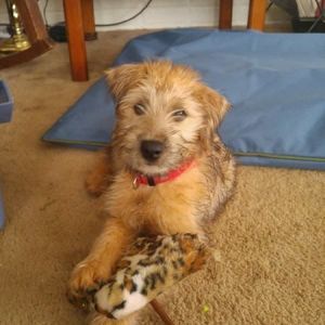 Meet your Posher, Leslie