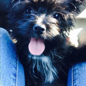 Meet your Posher, Melanie