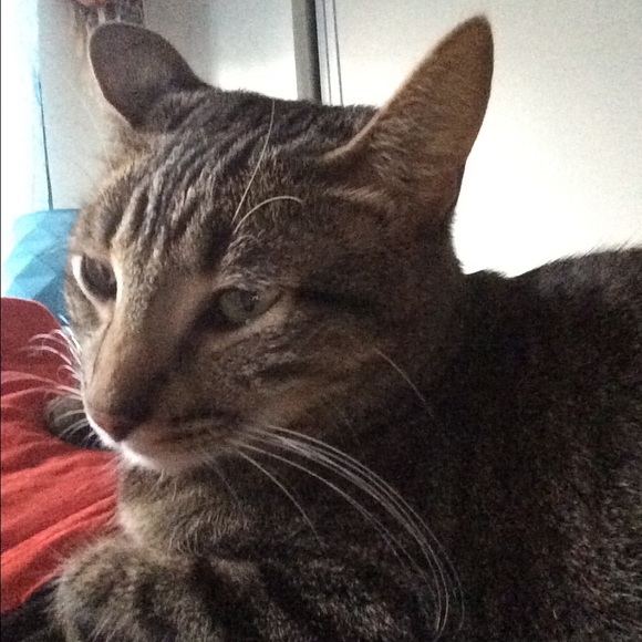 Meet your Posher, Katie