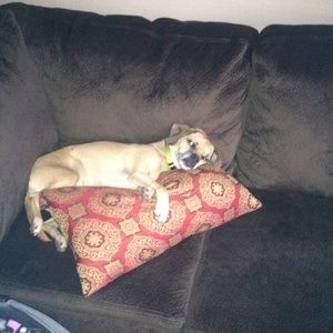 Meet your Posher, Nichole