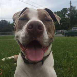 Meet your Posher, Meagan