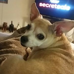 Meet your Posher, Kelly