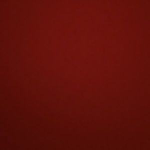 Meet your Posher, Aries