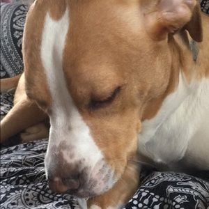 Meet your Posher, Nikki