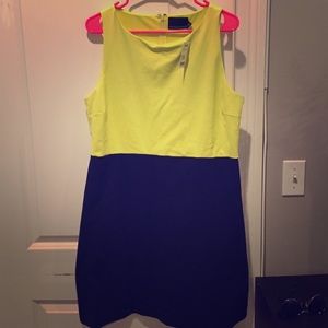 Yellow and Purple Color Block Dress