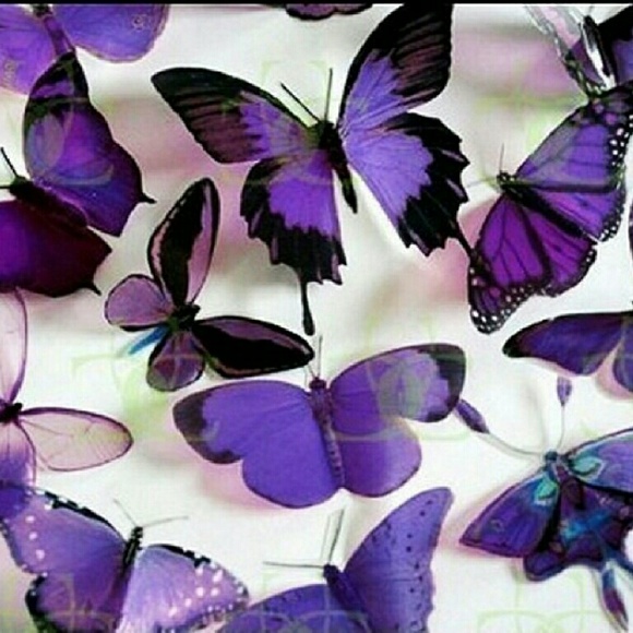 Meet your Posher, Pam