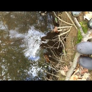 Meet your Posher, Jane