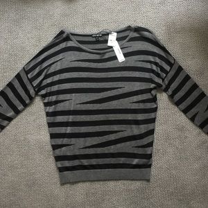 Express striped sweater