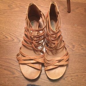 Steve Madden- gladiator sandals