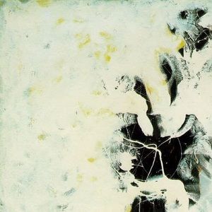 Meet your Posher, Chase