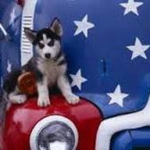 Meet your Posher, Joann