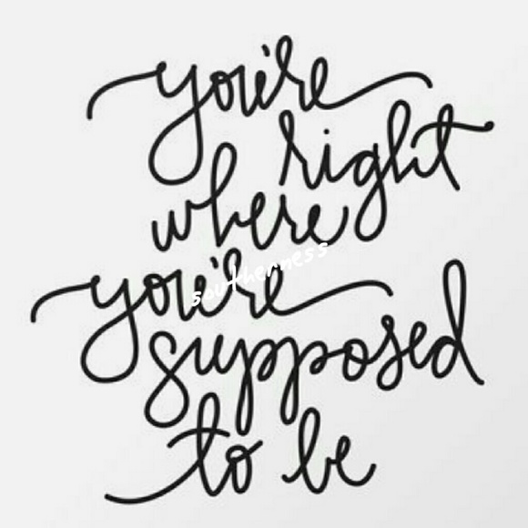 Southern White Tea Towels - Picture 2 of 4