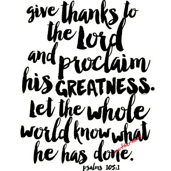 Southern White Tea Towels - Picture 2 of 4