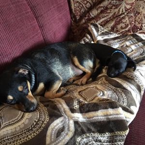 Meet your Posher, Kathy