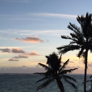 Meet your Posher, Ann