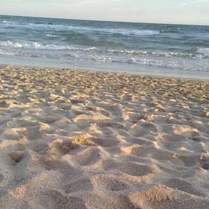 Meet your Posher, Joni