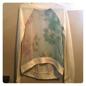 Hollister Transparent Long Sleeve
