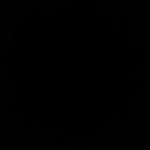 Meet your Posher, Ebony