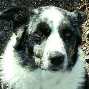 Meet your Posher, Sidnee