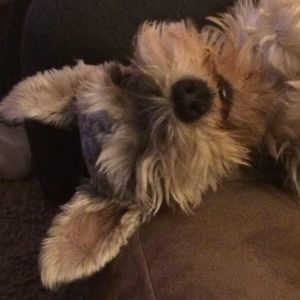 Meet your Posher, Donna