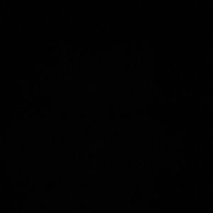 Meet your Posher, Jenn