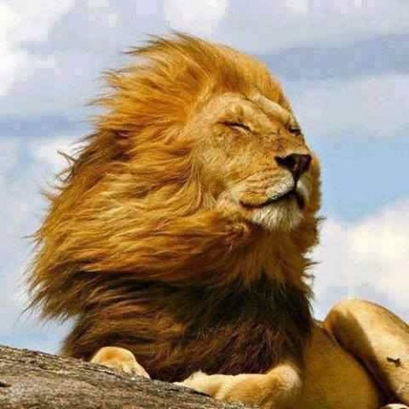 Meet your Posher, Aleisha