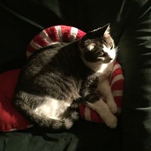 Meet your Posher, Brianna