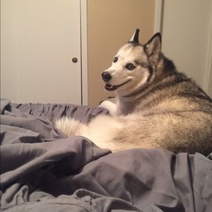 Meet your Posher, Geri