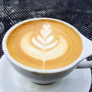 Meet your Posher, Omar