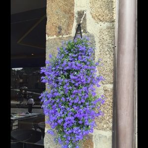 Meet your Posher, Gerrie