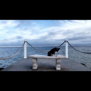 Meet your Posher, Emma