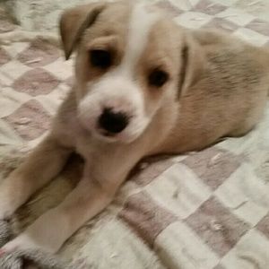 Meet your Posher, Becky