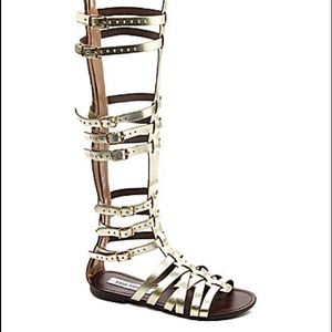 Steve Madden Sparta Gladiator Sandals