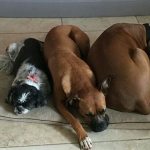 Meet your Posher, Nancy