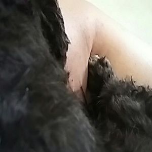 Meet your Posher, Janie