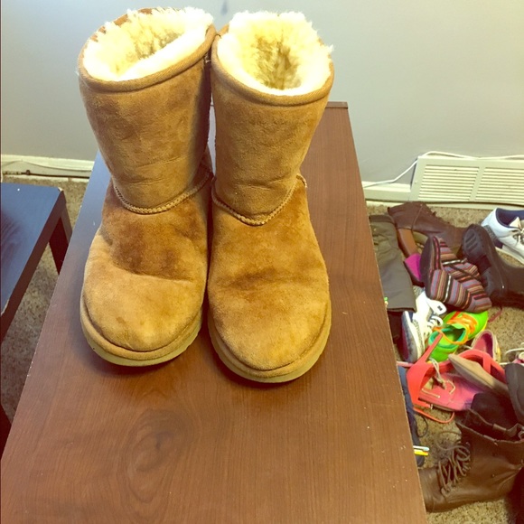 Chestnut Uggs