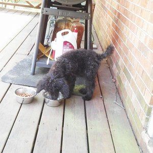 Meet your Posher, Kristen