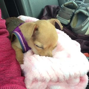 Meet your Posher, Trinity