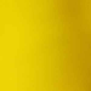 Meet your Posher, Jess