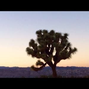 Meet your Posher, Meredith