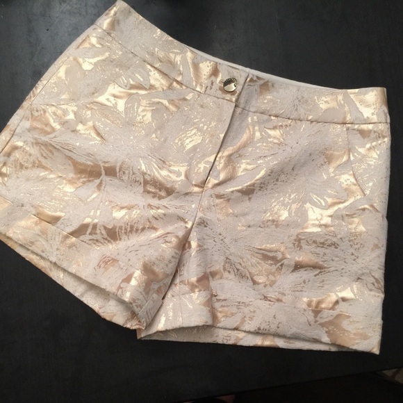 Ted Baker Pants - Ted Baker Gold Floral Shorts Sz 2