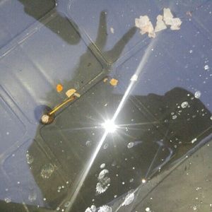 Meet your Posher, Abby