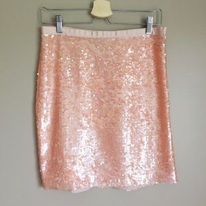 Sequined Skirt