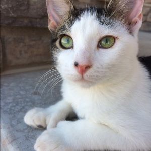 Meet your Posher, Kaitlynn