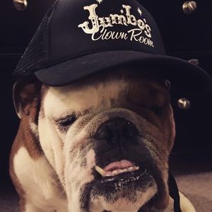 Meet your Posher, Nina