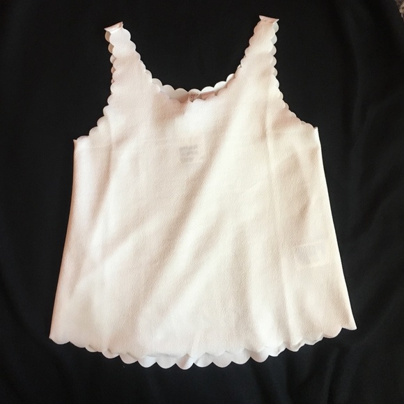 Scallop trim tank