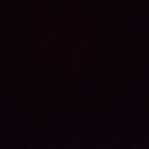 Meet your Posher, Elly