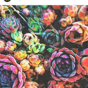 Meet your Posher, Ava