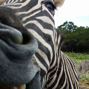 Meet your Posher, Bethany